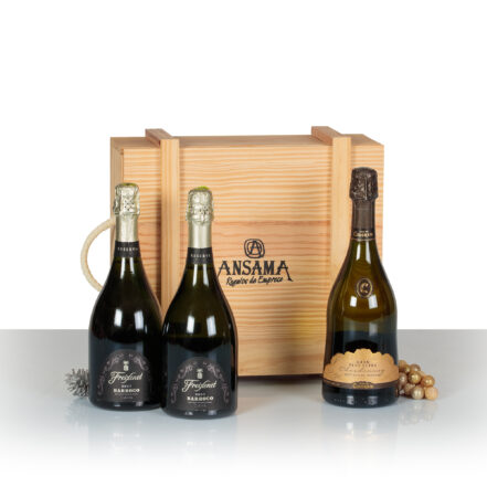 Cava Navidad Regalo Lujo
