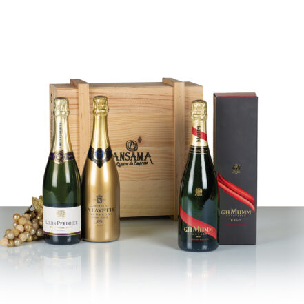 Champagne Navidad Regalo Lujo