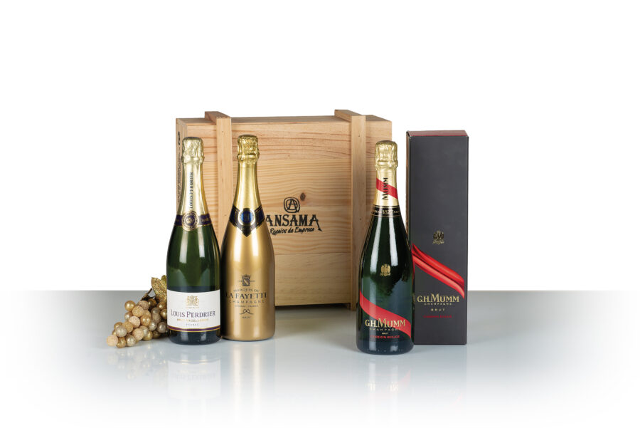 Champagne Navidad Regalo Lujo