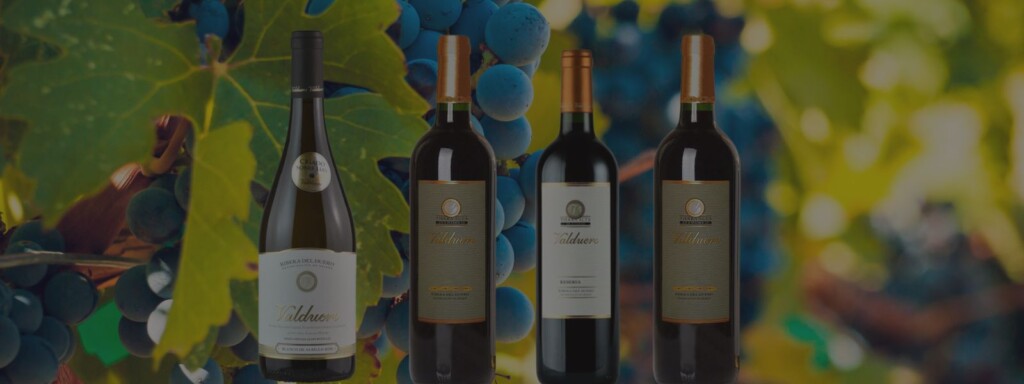 los mejores vinos Valduero online